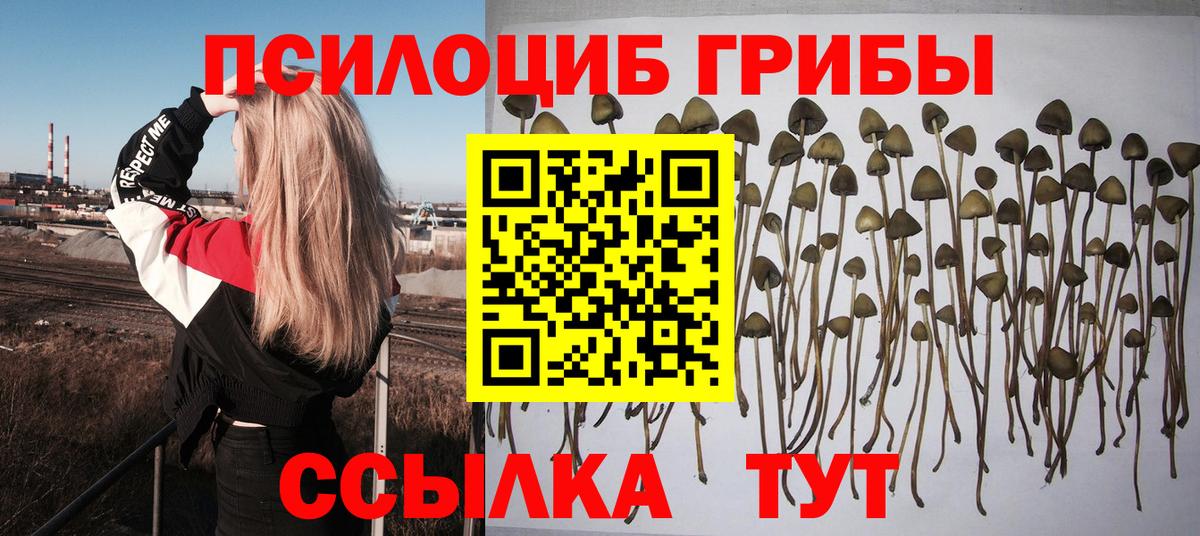 Псилоцибиновые грибы прущие грибы Лесозаводск