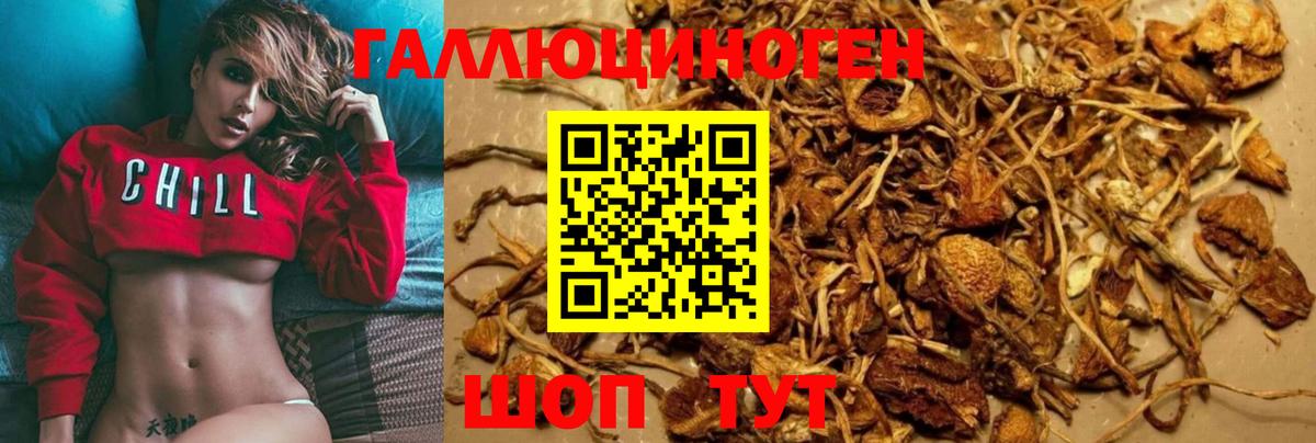 Псилоцибиновые грибы Psilocybine cubensis  Вход с VPN  цена   Лесозаводск  Псилоцибиновые грибы Magic Shrooms 