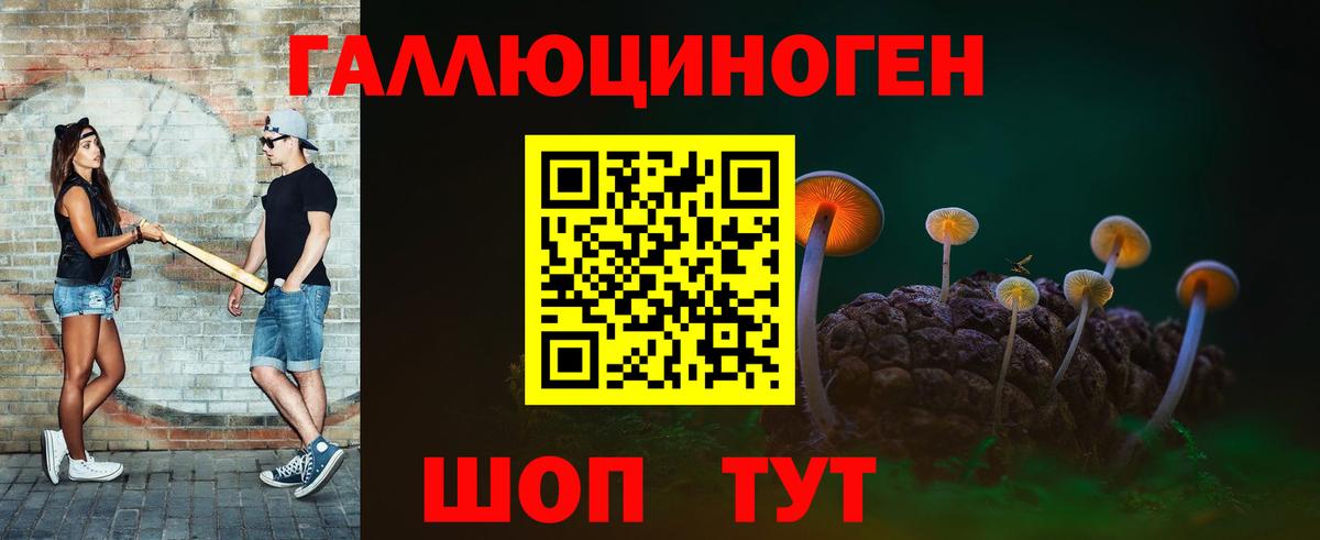 Альфа ПВП Лесозаводск